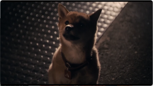 hachi_1_2.png