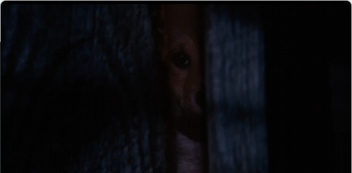 hachi_1_3.png
