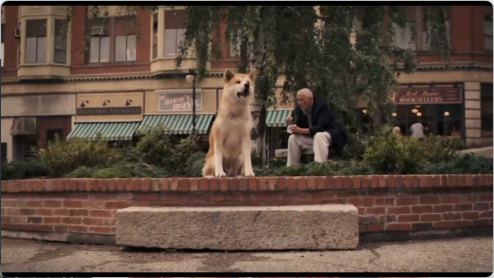 hachi_1_4.png