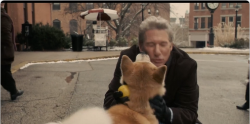 hachi_1_6.png