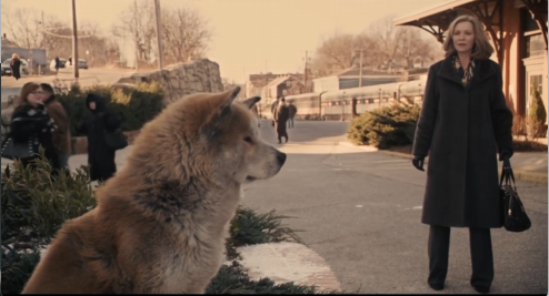 hachi_1_8.png