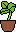 plant.png